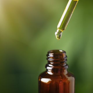 Árpa levél kivonat (Hordeum vulgare L.)